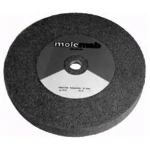 8" × 1" Replacement Grinding Stone For Neary Grinders – 5/8" Arbor | Rs65 1