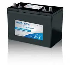 Ldc12-27 Deep-Cycle Agm Battery – $20 Core Charge 1