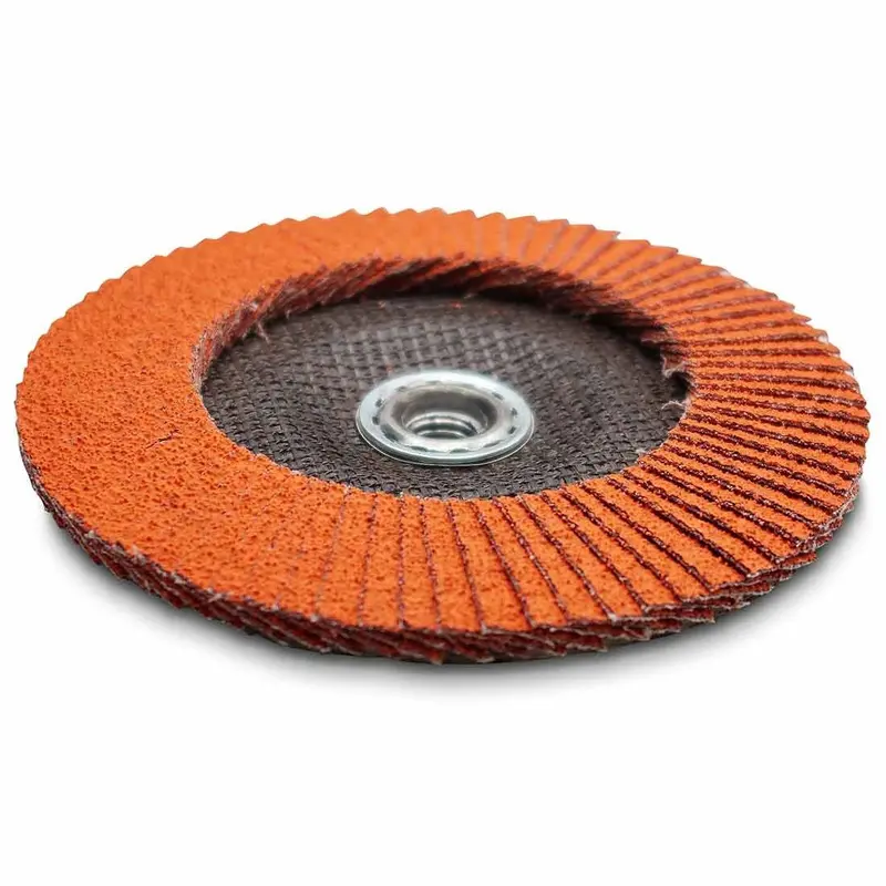 Rbg750/Rbg950 Grinding Flap Wheel – Wall-Mounted Blade Sharpening Accessory (Rbg785) 1