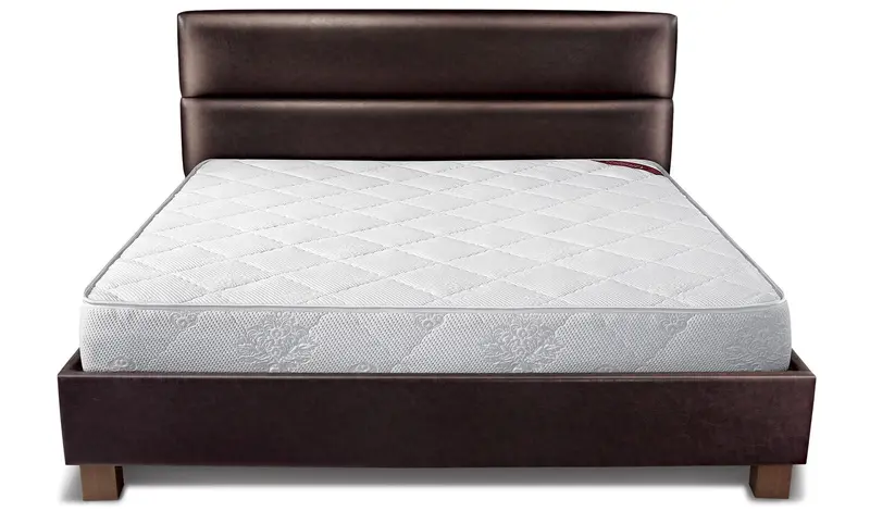 Springwel Natural Latex Foam Mattress 1