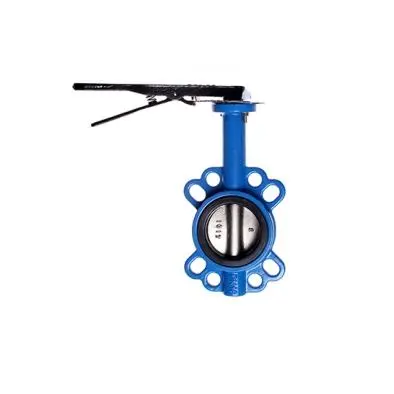 Venice Di-Disc Butterfly Valve – Ductile Iron Body 1