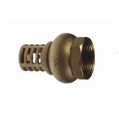 Venice Heavy-Duty Brass Foot Valve 1